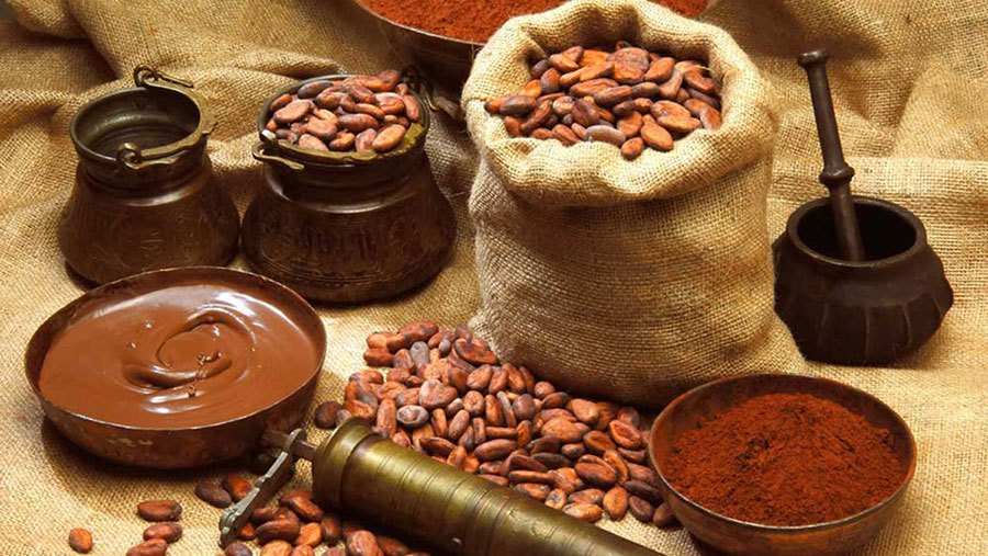 Sử dụng bột cacao nguyên chất sẽ làm bánh chuối thêm đậm vị.